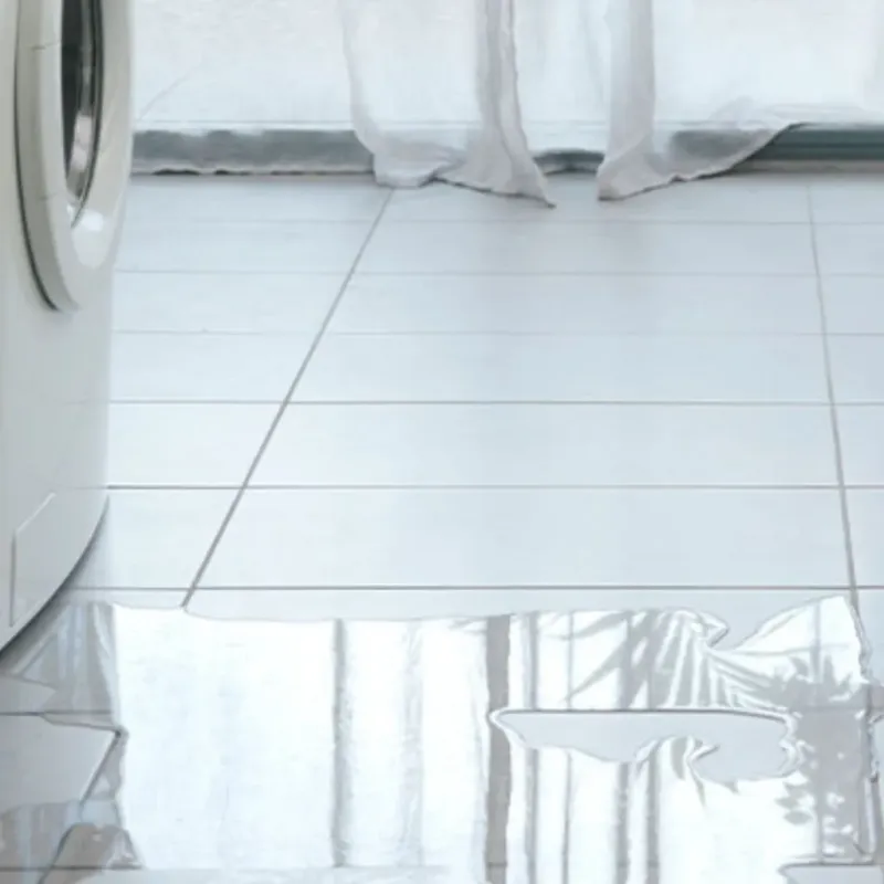 Appliance Leak Cleanup in Alexander County, IL
