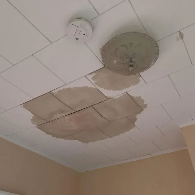 Ceiling Water Damage Repair in Alexander County, IL