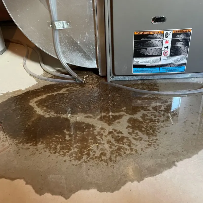 Pipe Burst and Leak Restoration in Alexander County, IL