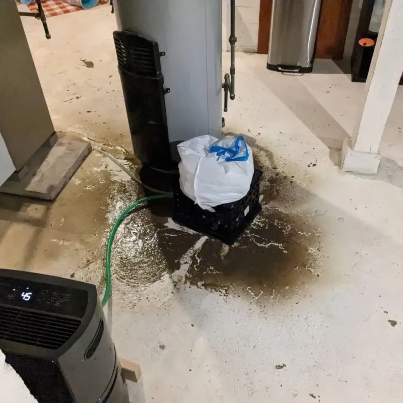 Sewage Backup Cleanup Service in Alexander County, IL